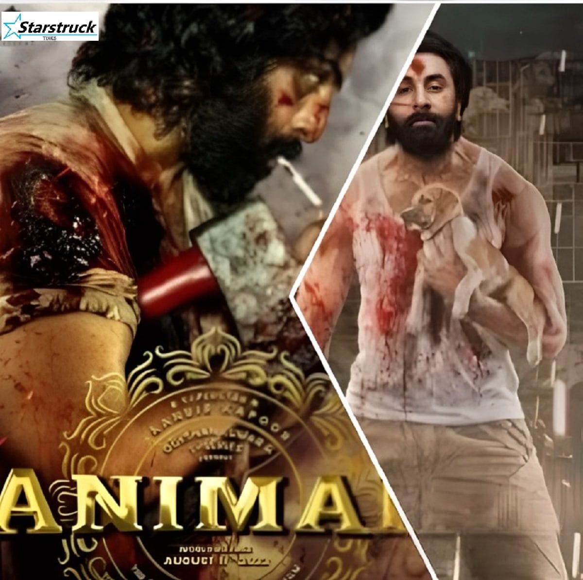 Ranbir Kapoor Animal look rugged Bollywood transformation