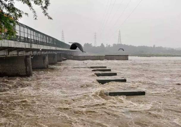 Sutlej River flood rescue at Husainiwala Head under rising water levels