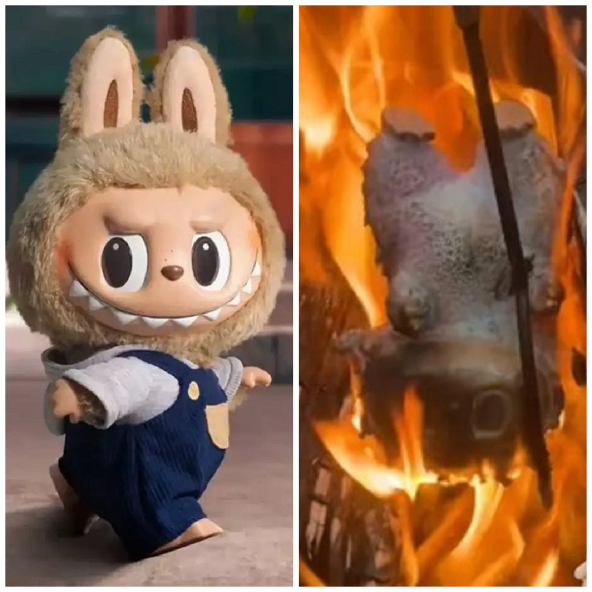 Labubu Doll: haunted toy or cute collectible? full story, price and safety facts