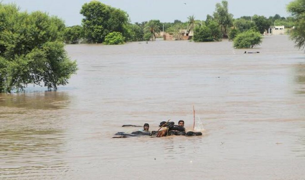 Breaking News: Sindh Braces for Catastrophic Floods as 1.6 Million People Face Imminent Danger Breaking News: Sindh Braces for Catastrophic Floods as 1.6 Million People Face Imminent Danger