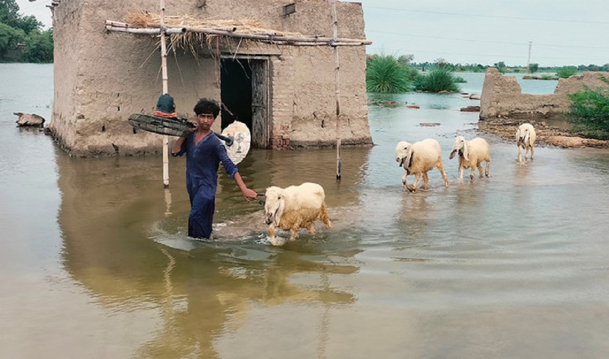 Emotional scenes in Bahawalpur as families return to broken homes after 2025 floods