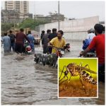 PMD rain alert in Pakistan with dengue outbreak risk