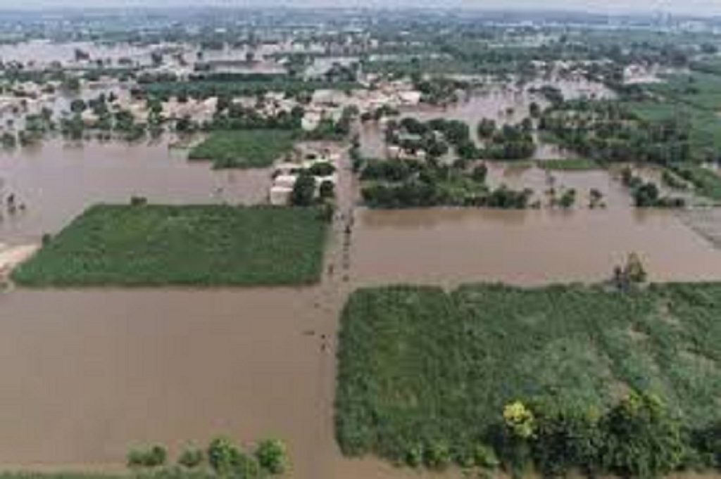 Historic Floods Devastate Punjab — 300K Evacuated, Millions Affected Historic Floods Devastate Punjab — 300K Evacuated, Millions Affected