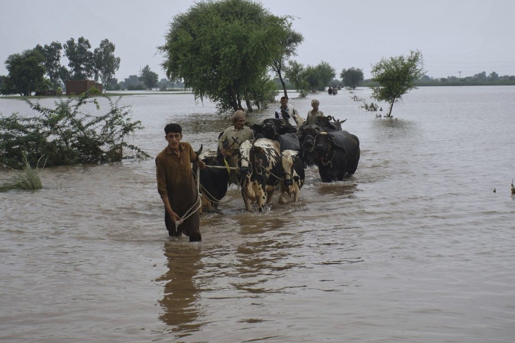 Punjab Floods Displace Nearly 2.5 Million in Pakistan’s Worst Crisis Since ’88 Punjab Floods Displace Nearly 2.5 Million in Pakistan’s Worst Crisis Since ’88