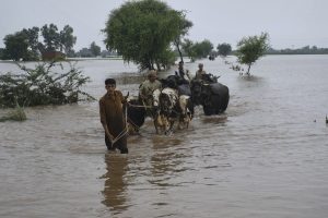 Punjab Floods Displace Nearly 2.5 Million in Pakistan’s Worst Crisis Since ’88