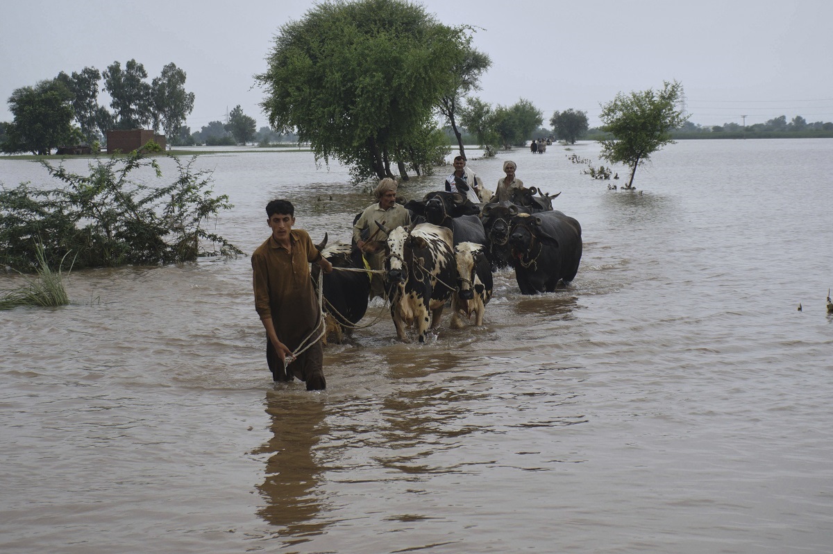 Flood-devastation in Punjab Pakistan 2025 – submerged villages and displaced families