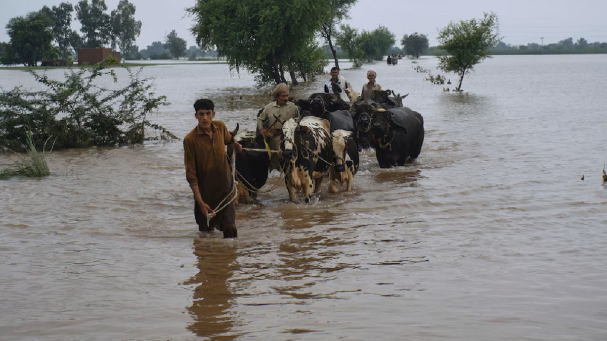 Historic floods in Punjab, Pakistan affecting 2 million people