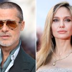 Brad Pitt and Angelina Jolie 2025 winery legal battle