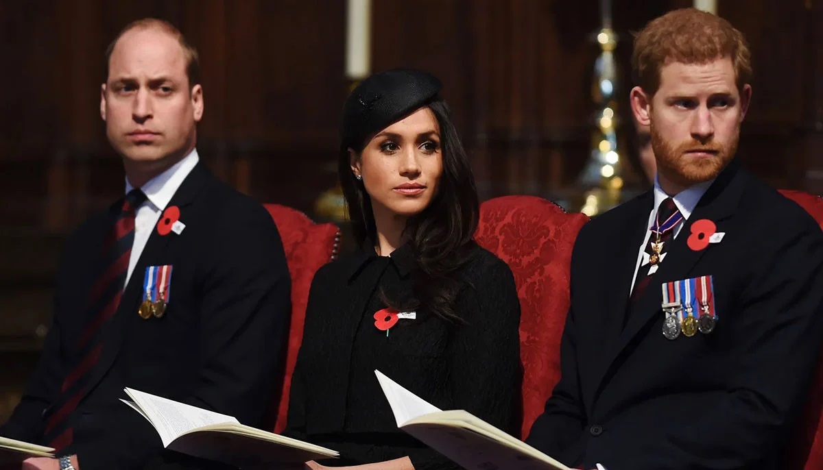 Prince Harry royal status removal concerns amid Prince William reforms