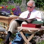 King Charles work ethic during royal crisis
