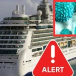 Norovirus outbreak aboard Caribbean Princess cruise ship in 2026