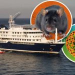 Hantavirus cruise ship outbreak investigation involving international passengers