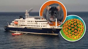 Hantavirus Cruise Ship Outbreak Sparks Global Alarm — Could This Rare Virus Spread Further?