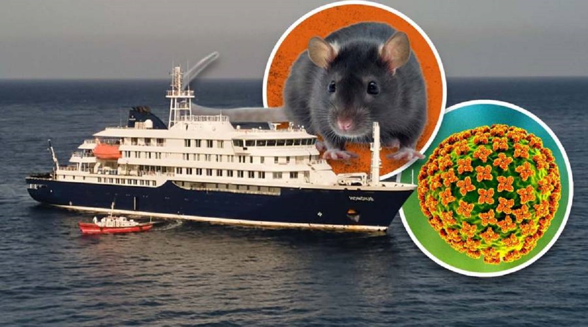 Hantavirus cruise ship outbreak investigation involving international passengers