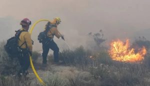 Tusil Fire Evacuation Orders Active in San Diego: I-8 Closed — Is Your Zone Safe?